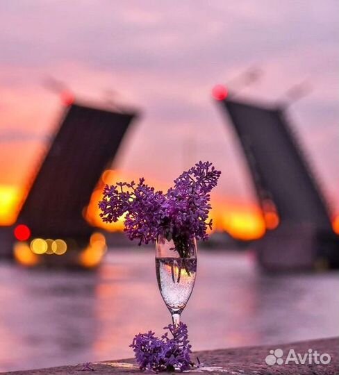 Тур в Санкт-Петербург из Екатеринбурга, 4 дня