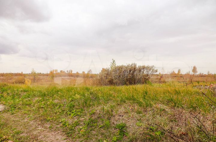 Участок 8 сот. (СНТ, ДНП)