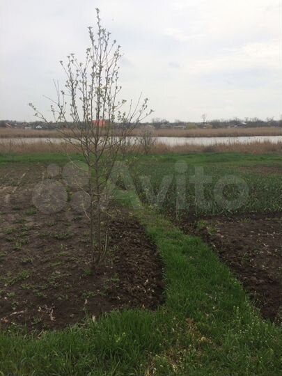 Дом 80 м² на участке 30 сот.