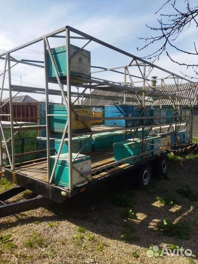 Грабли, ворошилки, валкователи АО Сельхозтехника ГВ-5, 2021