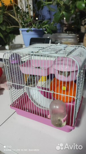 Хомяк с клеткой