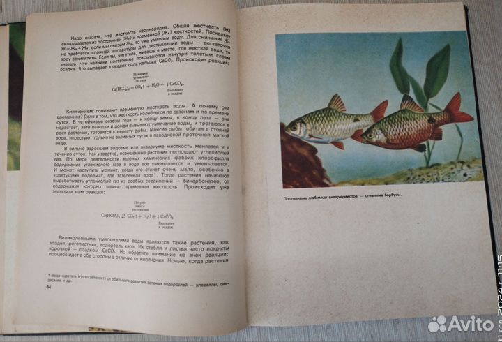 Занимательный аквариум М.Д. Маклин 1975