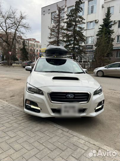 Бокс на крышу аренда прокат