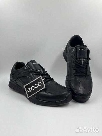 Кроссовки edco