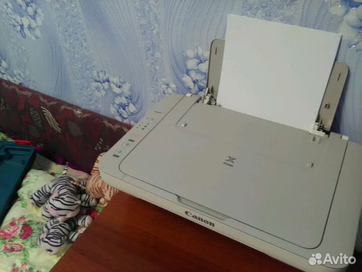 Принтер Canon MG2440 pixma