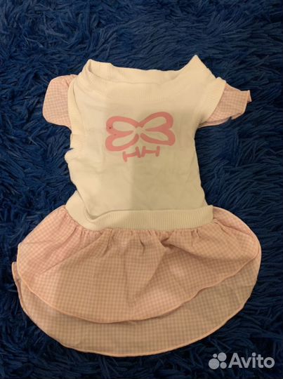 Одежда для животных, маленьких пород