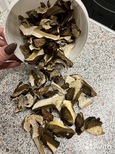Грибы белые сушеные 2024 год