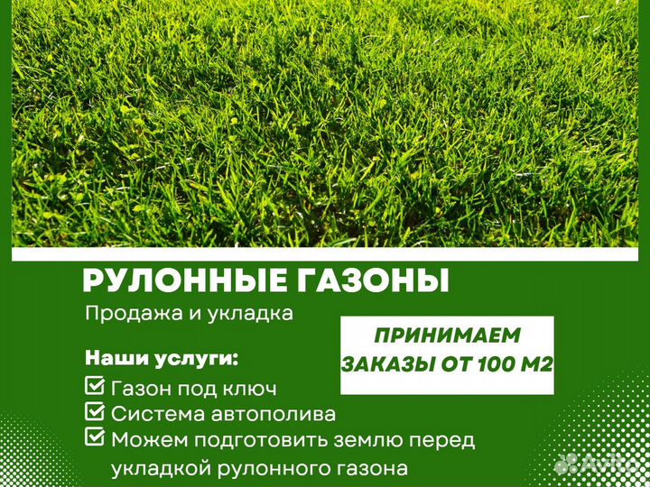 Укладка газона