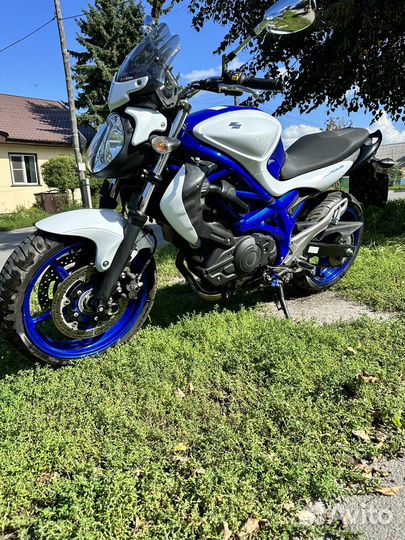 Сузуки гладиус