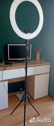 Лампа кольцевая на штативе