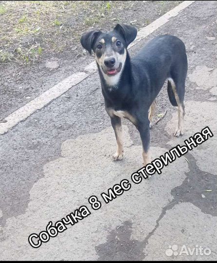 Подросток привит 6 мес