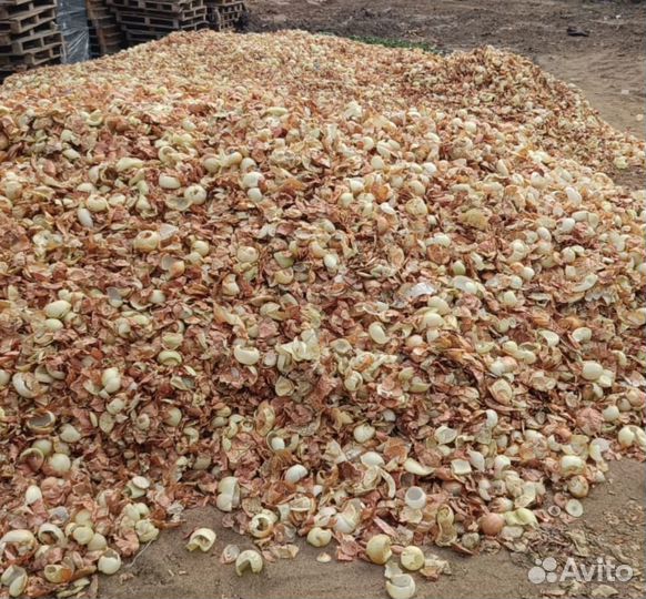 Луковая шелуха, отходы, удобрение, навоз, мульча