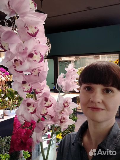 Помощник флориста