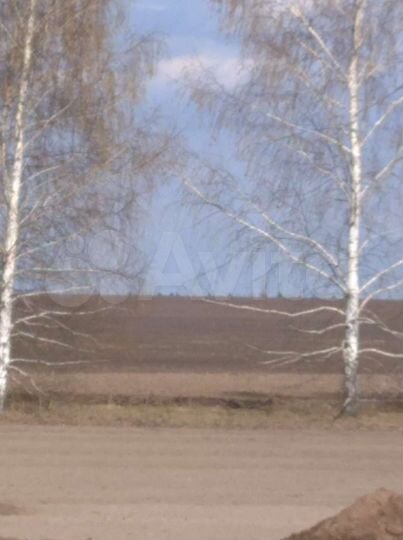 Участок 4 га (СНТ, ДНП)