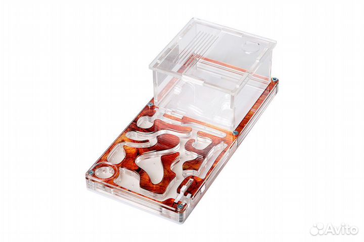 Муравьиные фермы (формикарии) муравьи В подарок