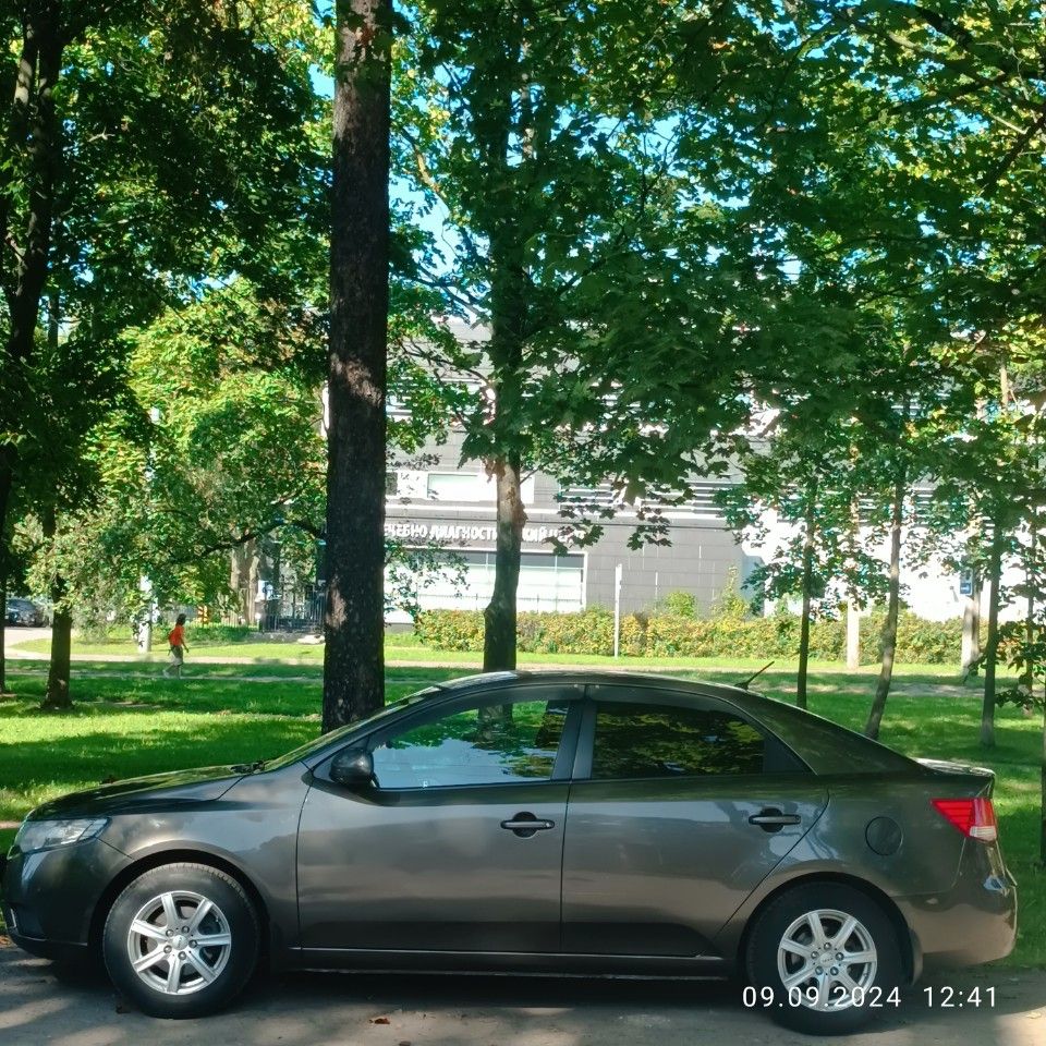 Kia Cerato: фото владельца