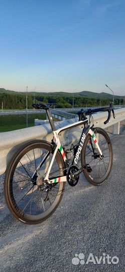 Cipollini NK1K Italian Champion