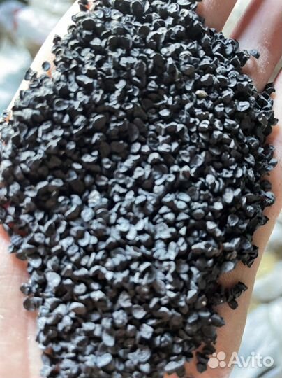 Семена лука чернушки