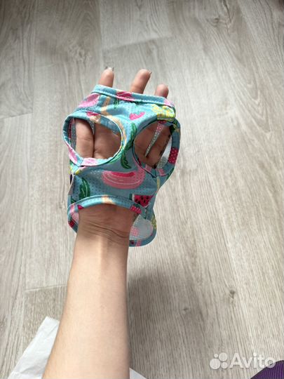 Вещи для собак