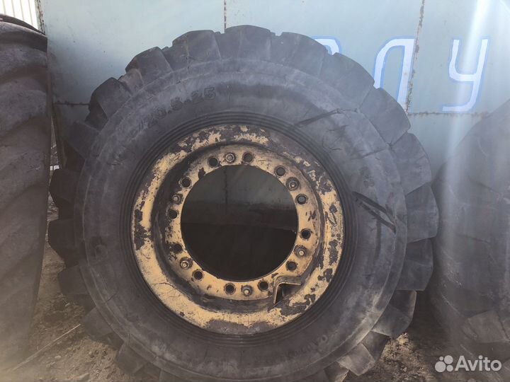 Колеса на погрузчик Амкадор