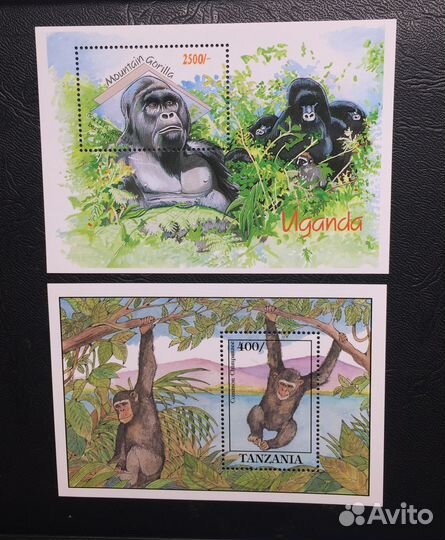 Перл-Харбор блок