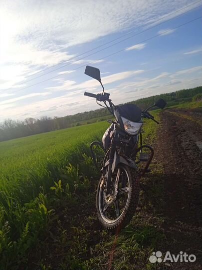 Продаю мопед альфа rs11