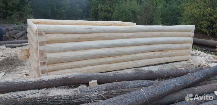 Сруб бани из липы