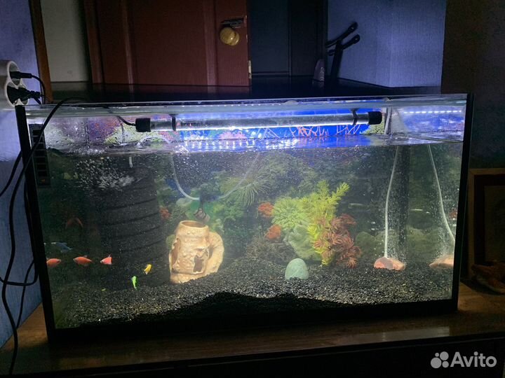 Аквариум с рыбками