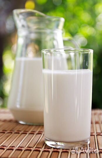 Домашнее коровье молоко