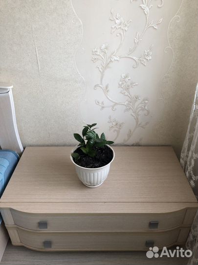 Тумба под телевизор