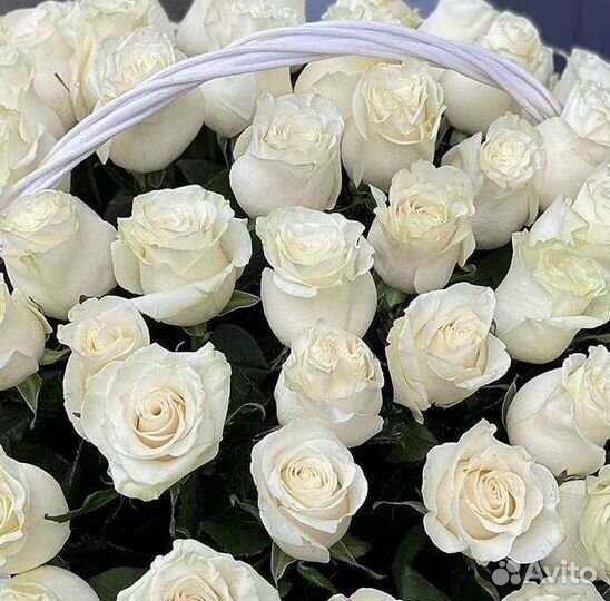 Высокие розы 150 160 170 180 190см доставка Москва