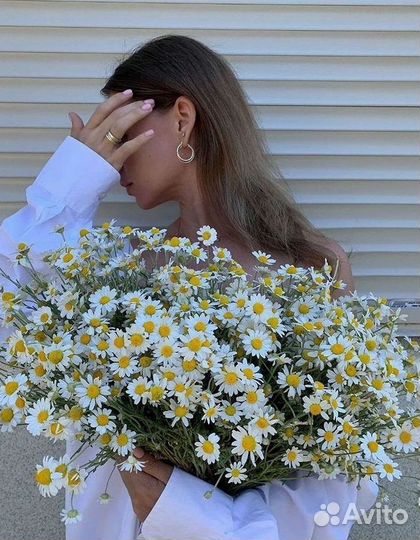 Букеты ромашек