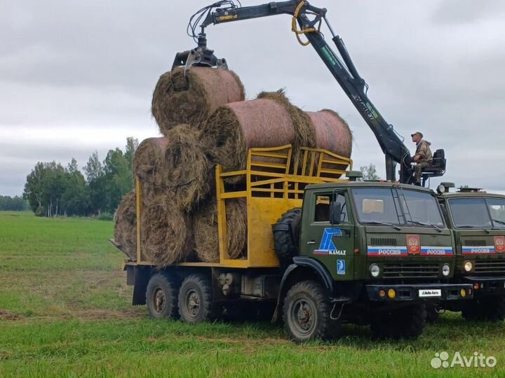 Лесовоз (сортиментовоз) КАМАЗ 4310, 1989