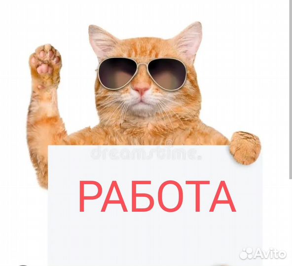 Кладовщик вахта
