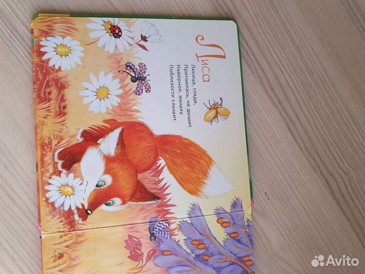 Книга для детей 