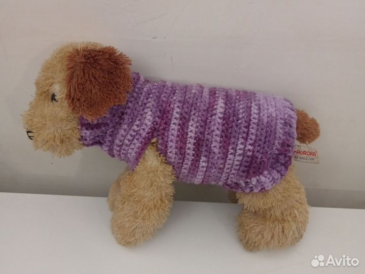 Одежда для собак