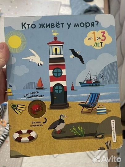 Кто живет у моря эксмо книжка картонка