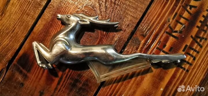 Олень на волгу 21