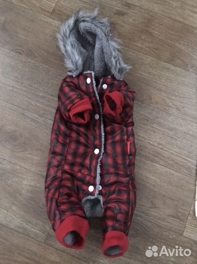 Одежда для собачки