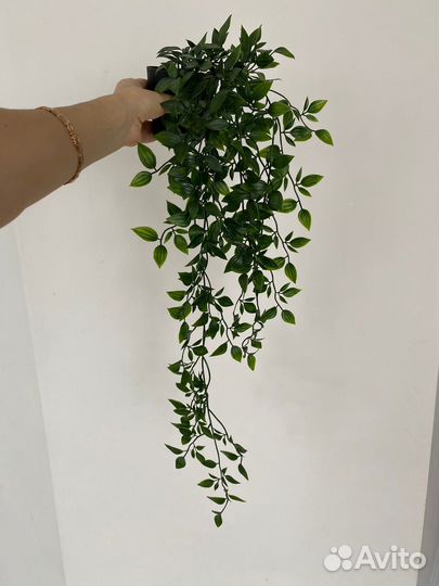 Искусственные растения IKEA фейка