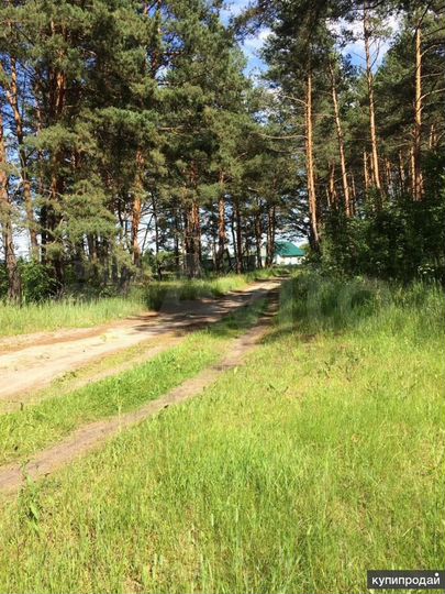 Участок 10 сот. (ИЖС)