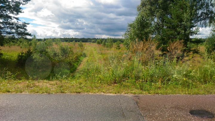 Участок 50 га (СНТ, ДНП)