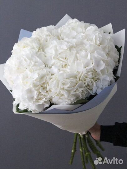 Гортензия букет, букет гортензий, доставка цветов