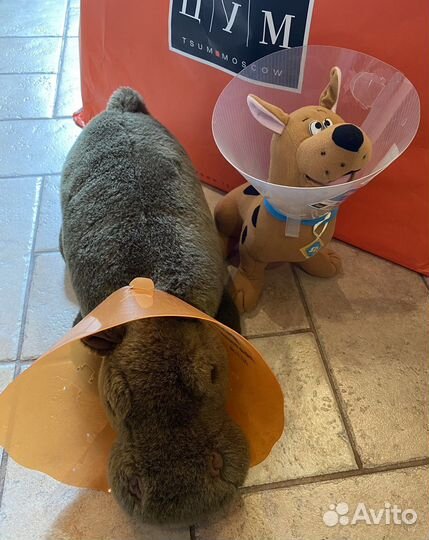 Защитный воротник для животных послеоперационный