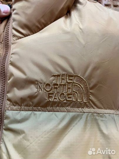 Жилет TNF