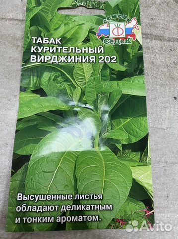 Семена табак курительный