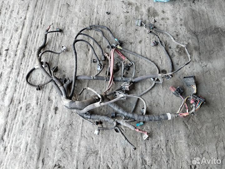 Проводка двигателя 1,6 K4M Nissan Almera G15