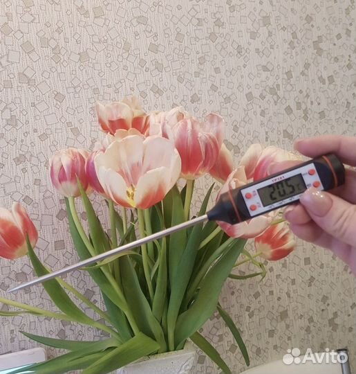 Кухонный термометр