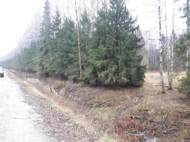 Участок 96 сот. (ИЖС)