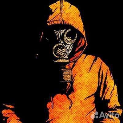 Дезинсекция